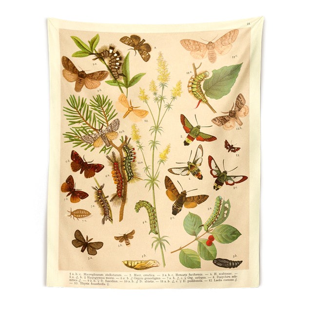 Butterflies Species Botanical Tapestry — Considered Home Styling — Lifestyle 6