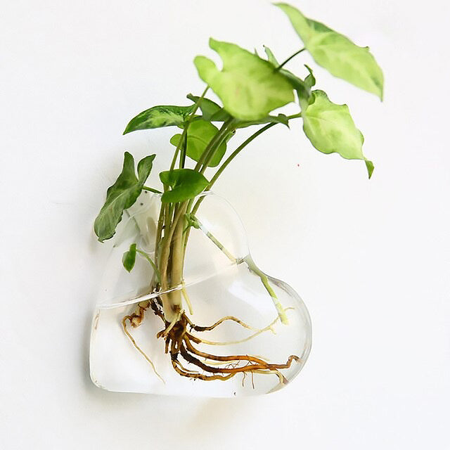 Glass Wall Hanging Flower Vase — Considered Home Styling — Lifestyle 4