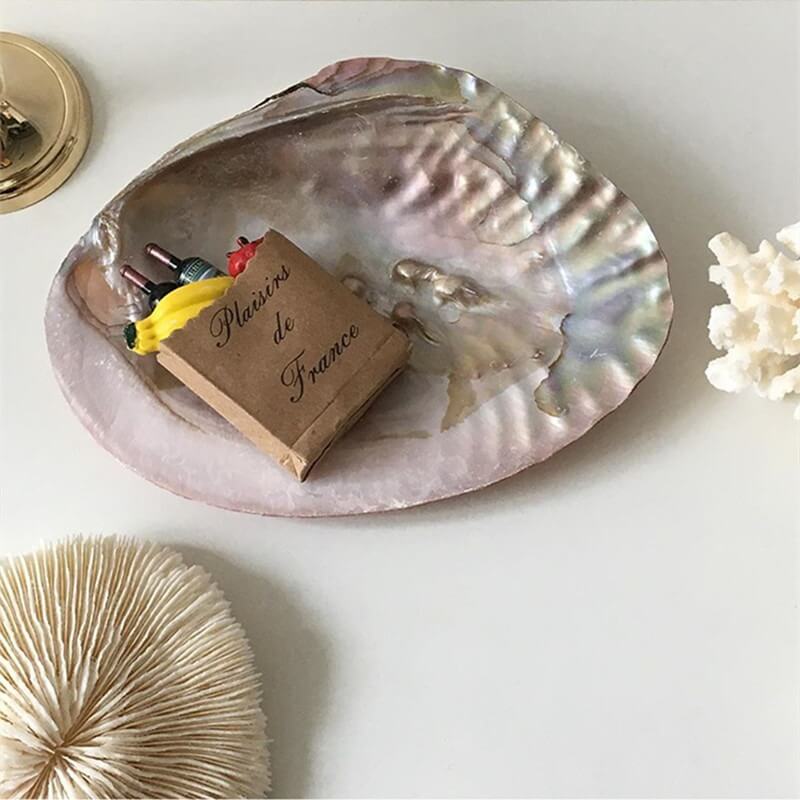 Natural Seashell Jewelry Tray — Considered Home Styling — Lifestyle 6