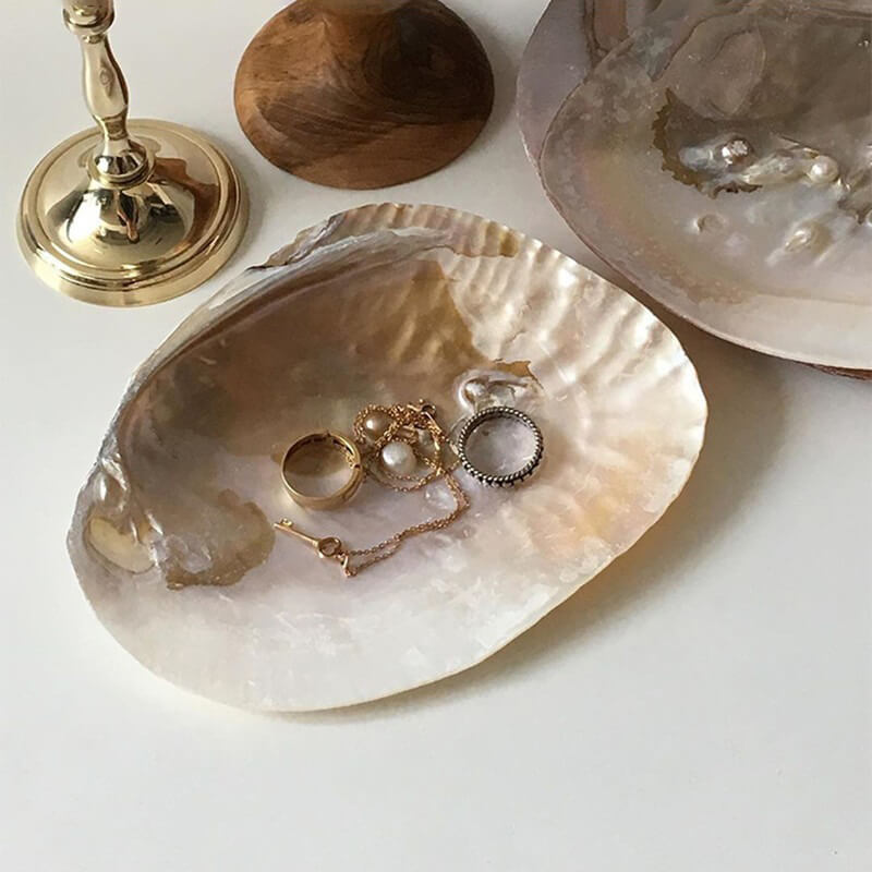 Natural Seashell Jewelry Tray — Considered Home Styling — Front view