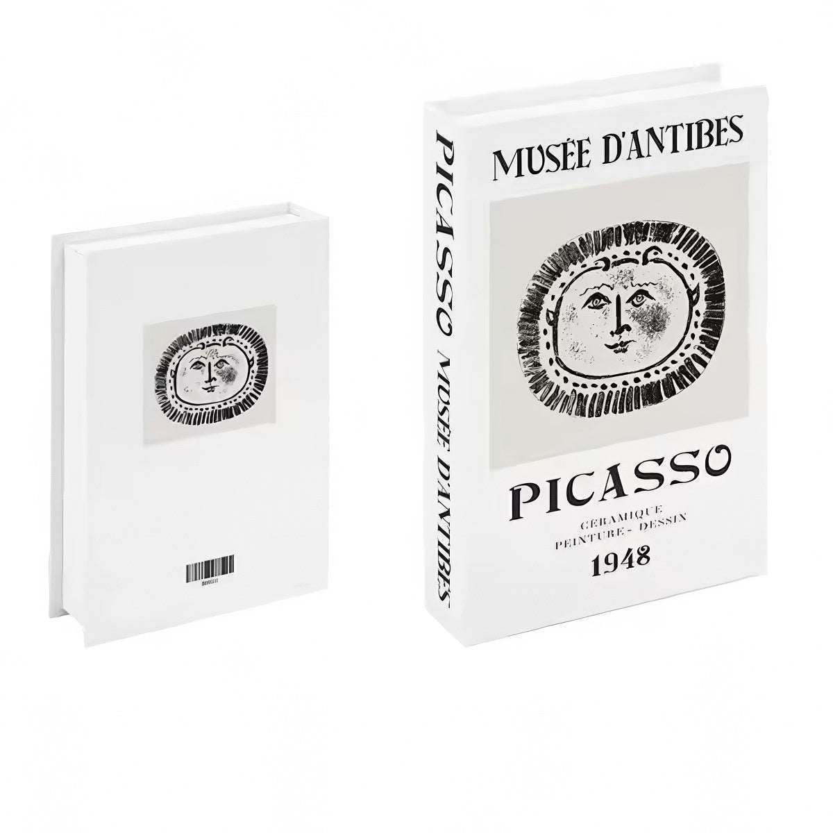 Picasso Minimalist Fake Book Storage Box — Considered Home Styling — Lifestyle 3