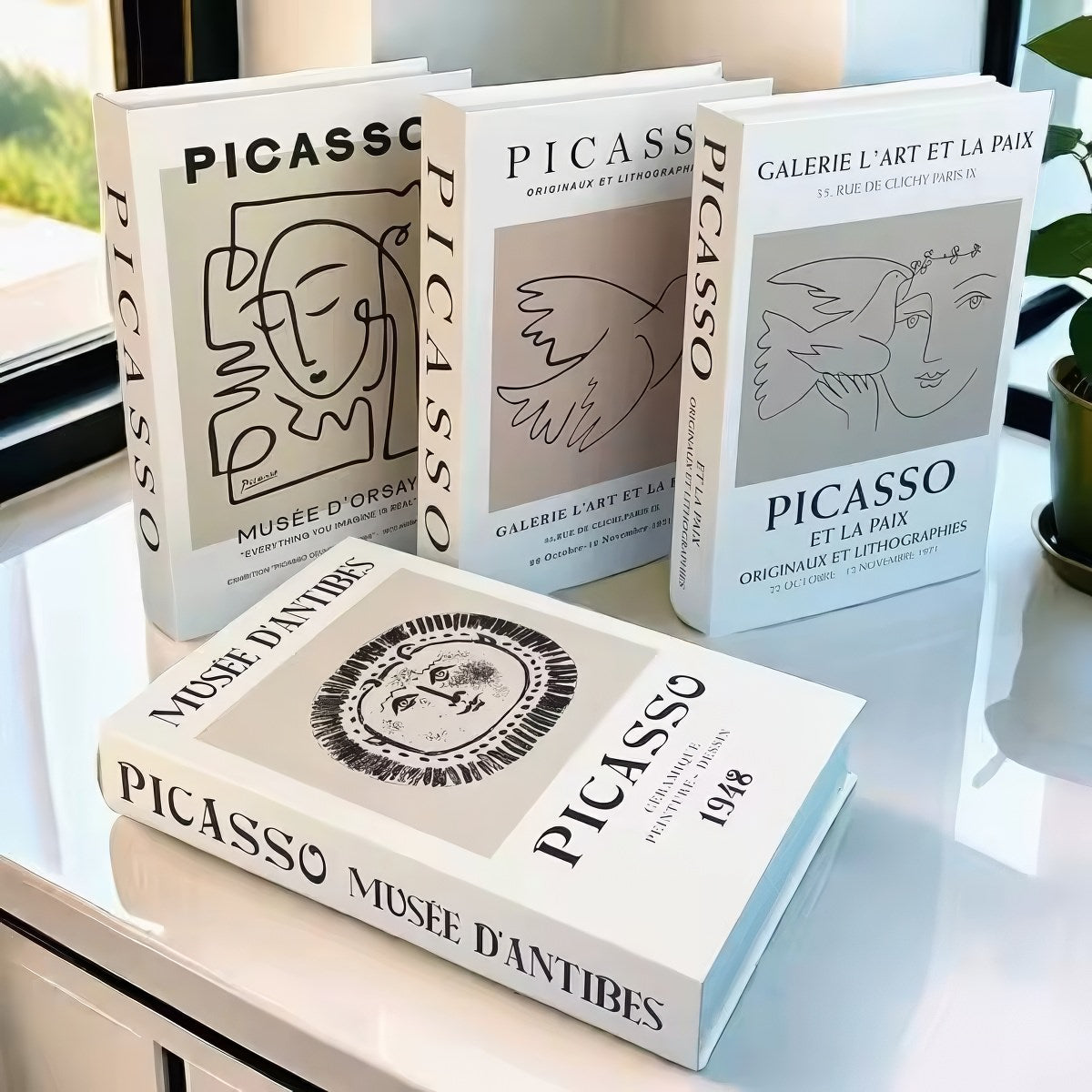 Picasso Minimalist Fake Book Storage Box — Considered Home Styling — Detail