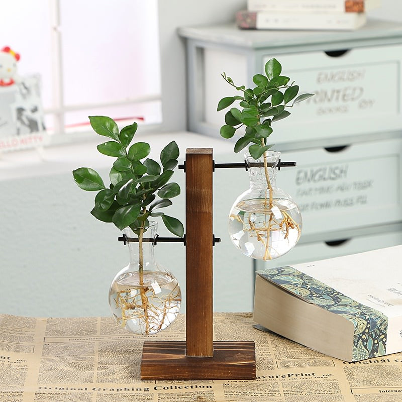 Terrarium Flask Planter Vase — Decorative Vase for Considered Styling — Lifestyle 2