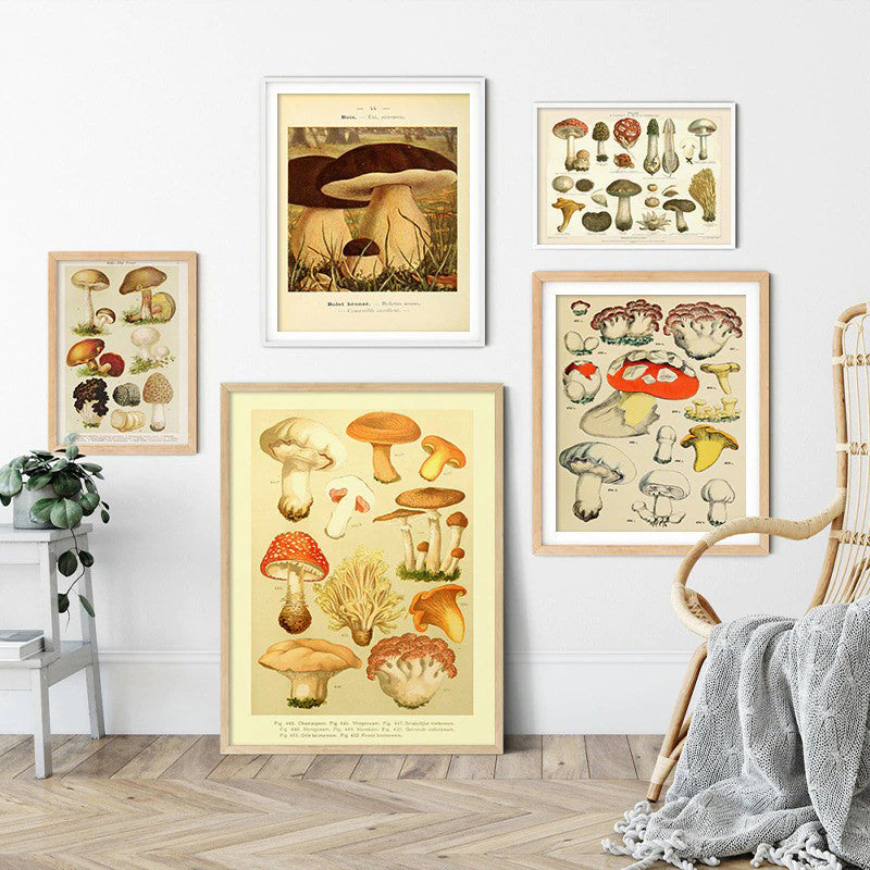 Vintage Mushrooms Canvas Posters — Considered Home Styling — Front view