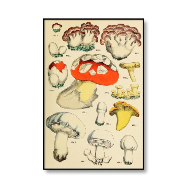 Vintage Mushrooms Canvas Posters — Considered Home Styling — Lifestyle 4