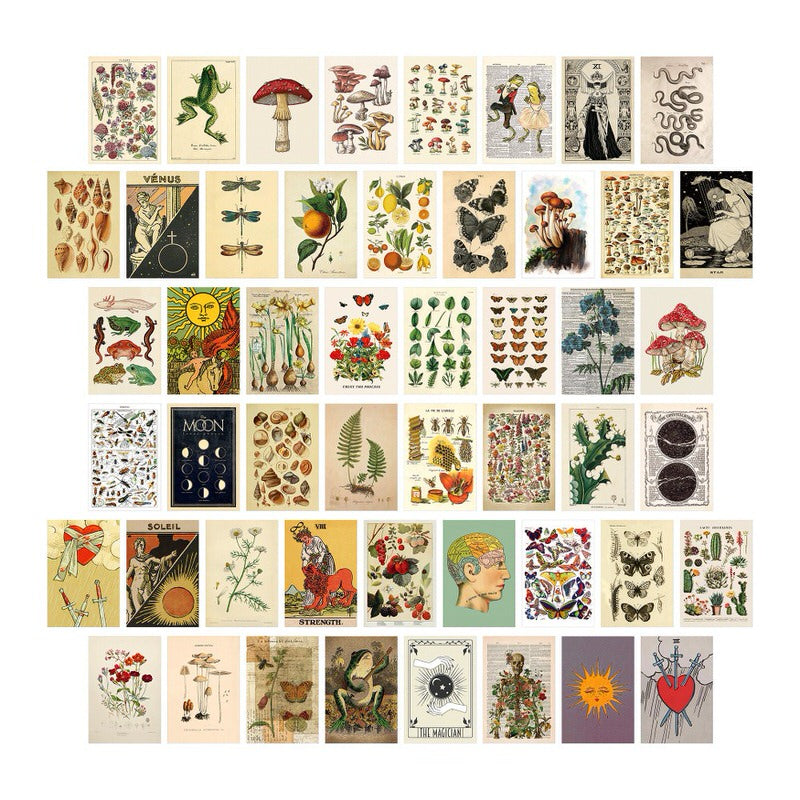 Retro Botanical Wall Collage Cards — Considered Home Styling — Front view