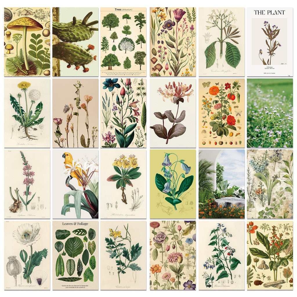 Vintage Herbal Wall Collage Cards Kit — Considered Home Styling — Lifestyle 2