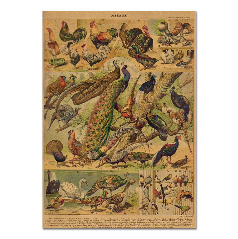 Birds Vintage Kraft Paper Poster — Considered Home Styling — Front view