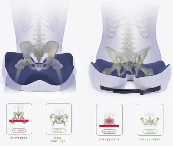 Ergonomic Adjustable Memory Foam Sit Bone Relief Seat Cushion for All-Day Comfort and Support