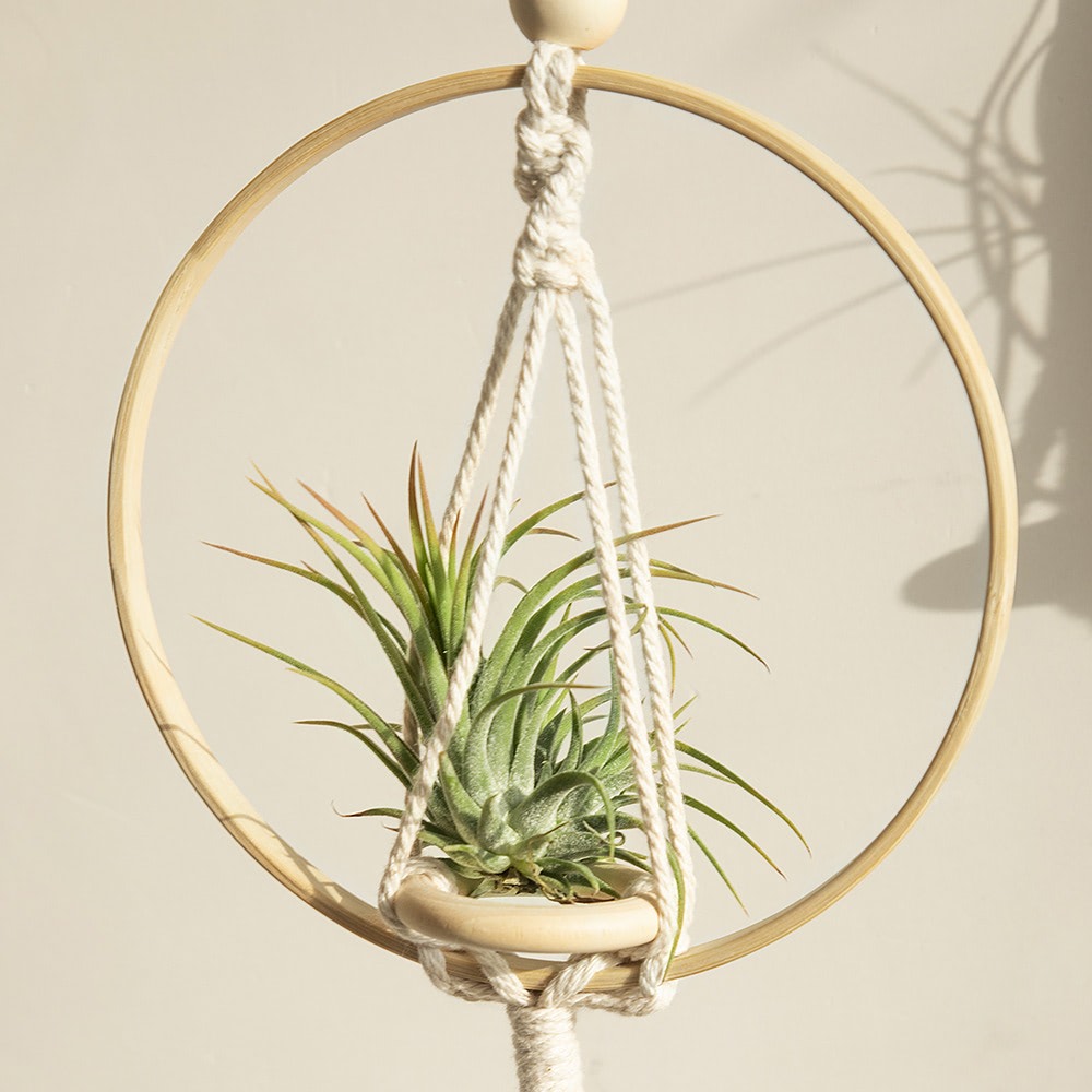 Considered home styling