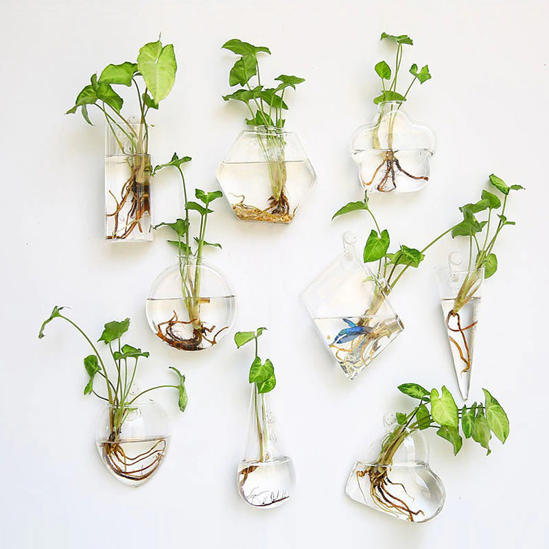 Glass Wall Hanging Flower Vase — Considered Home Styling — Front view