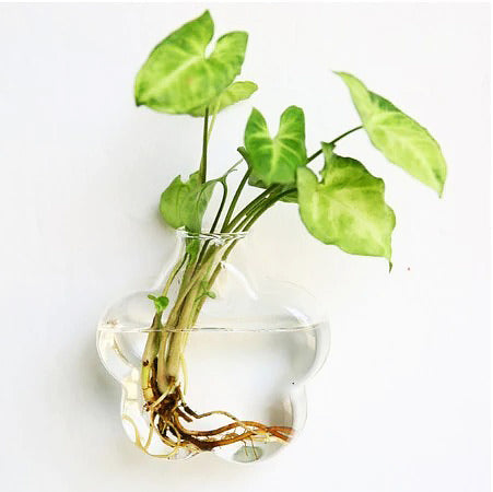 Glass Wall Hanging Flower Vase — Considered Home Styling — Lifestyle 5