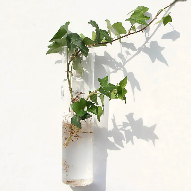 Glass Wall Hanging Flower Vase — Considered Home Styling — Lifestyle 7