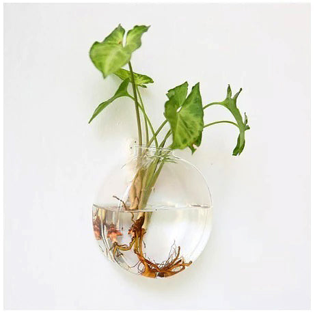 Glass Wall Hanging Flower Vase — Considered Home Styling — Lifestyle 3