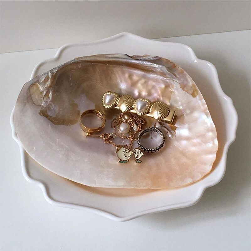 Natural Seashell Jewelry Tray — Considered Home Styling — Detail