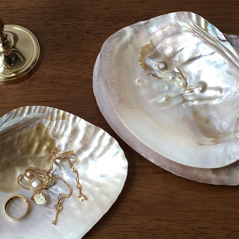 Natural Seashell Jewelry Tray — Considered Home Styling — Lifestyle 4