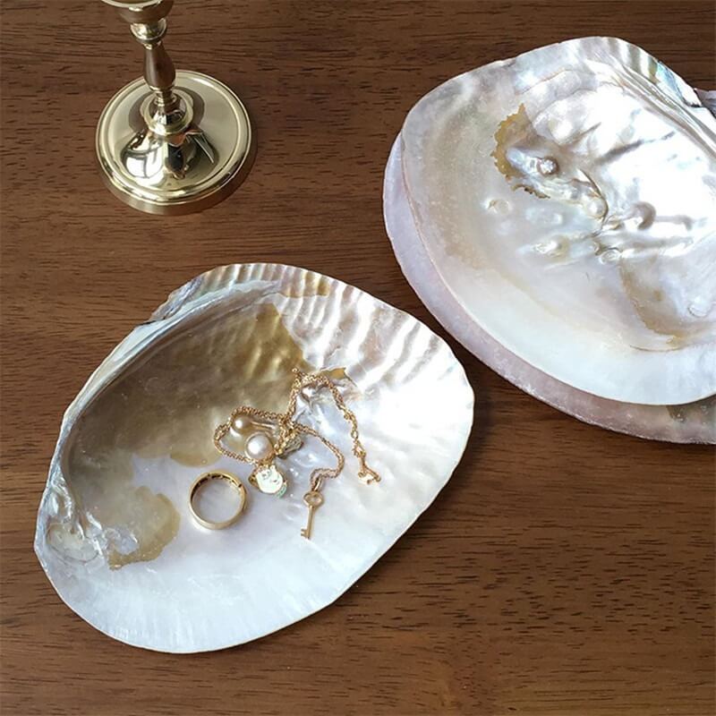 Natural Seashell Jewelry Tray — Considered Home Styling — Lifestyle 5