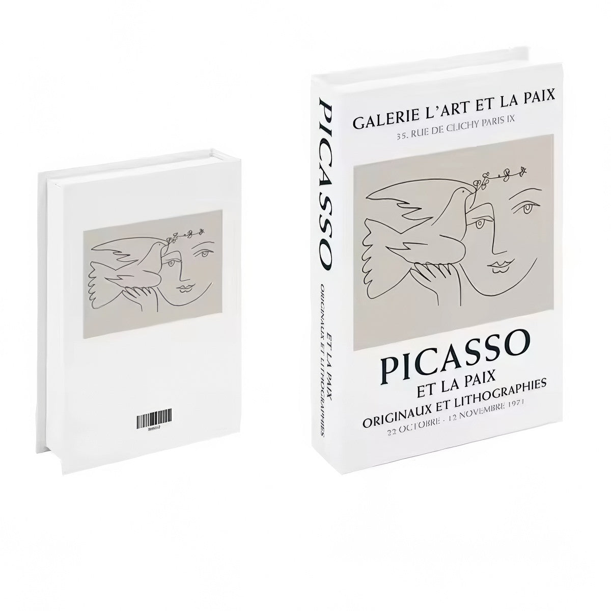 Picasso Minimalist Fake Book Storage Box — Considered Home Styling — Lifestyle 1