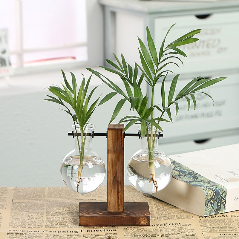 Terrarium Flask Planter Vase — Decorative Vase for Considered Styling — Lifestyle 1