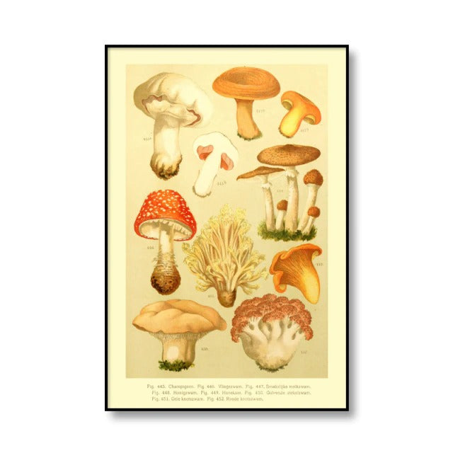 Vintage Mushrooms Canvas Posters — Considered Home Styling — Lifestyle 2