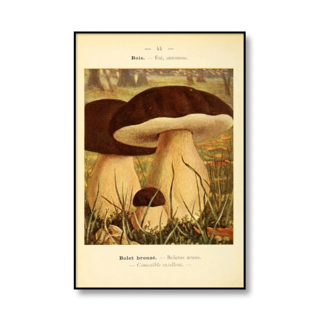 Vintage Mushrooms Canvas Posters — Considered Home Styling — Lifestyle 3