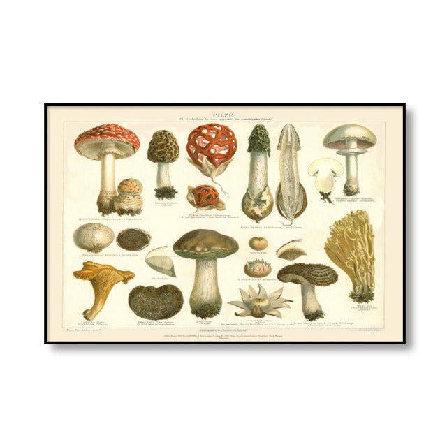 Vintage Mushrooms Canvas Posters — Considered Home Styling — Lifestyle 5
